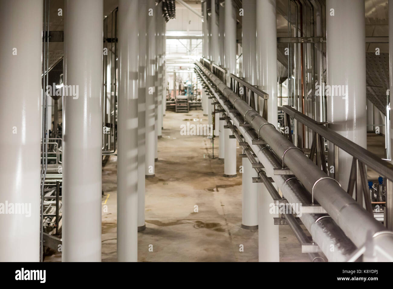Fort Collins, Colordo - Die Anheuser-Busch Brewery. Es ist eines von 12 Brauereien das Unternehmen in den Vereinigten Staaten betreibt. Stockfoto