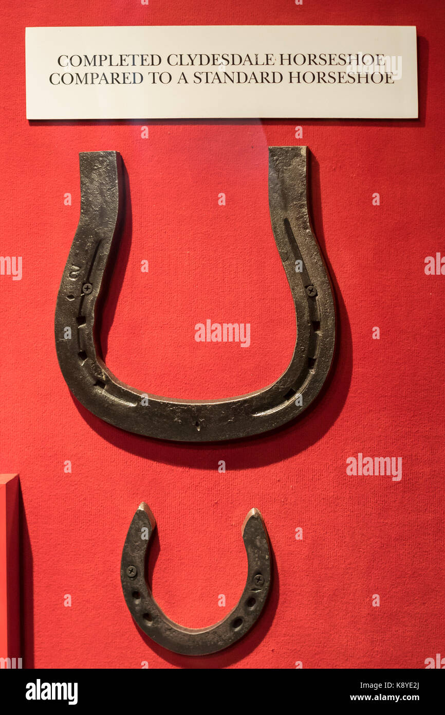 Fort Collins, Colordo - eine Anzeige an die Anheuser-Busch Brewery vergleicht die Größe von Hufeisen für ikonische des Unternehmens Clydesdales auf die Größe der St Stockfoto