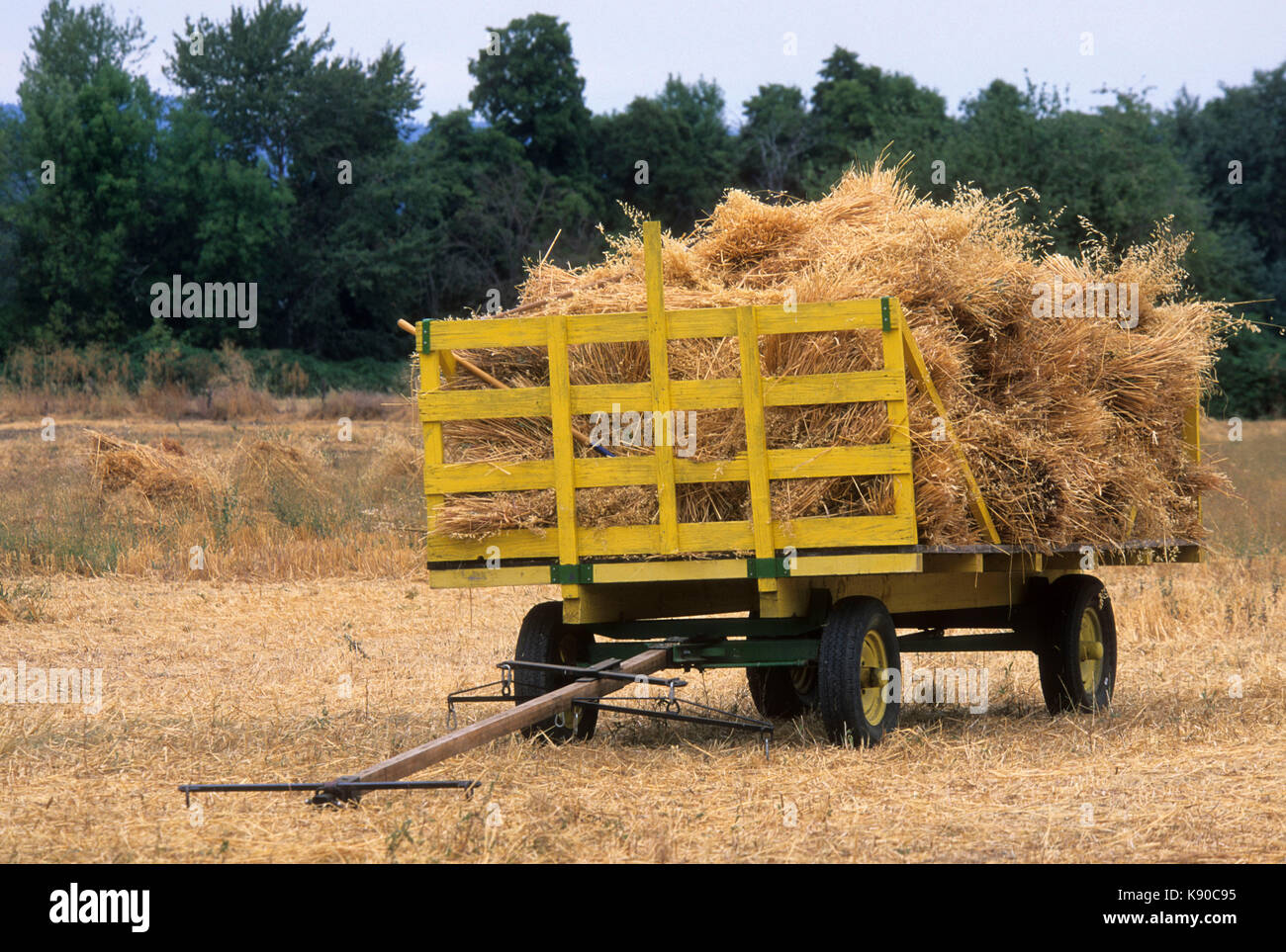 Gelbe Wagen, historische Hanley Farm, Jackson County, Oregon Stockfoto