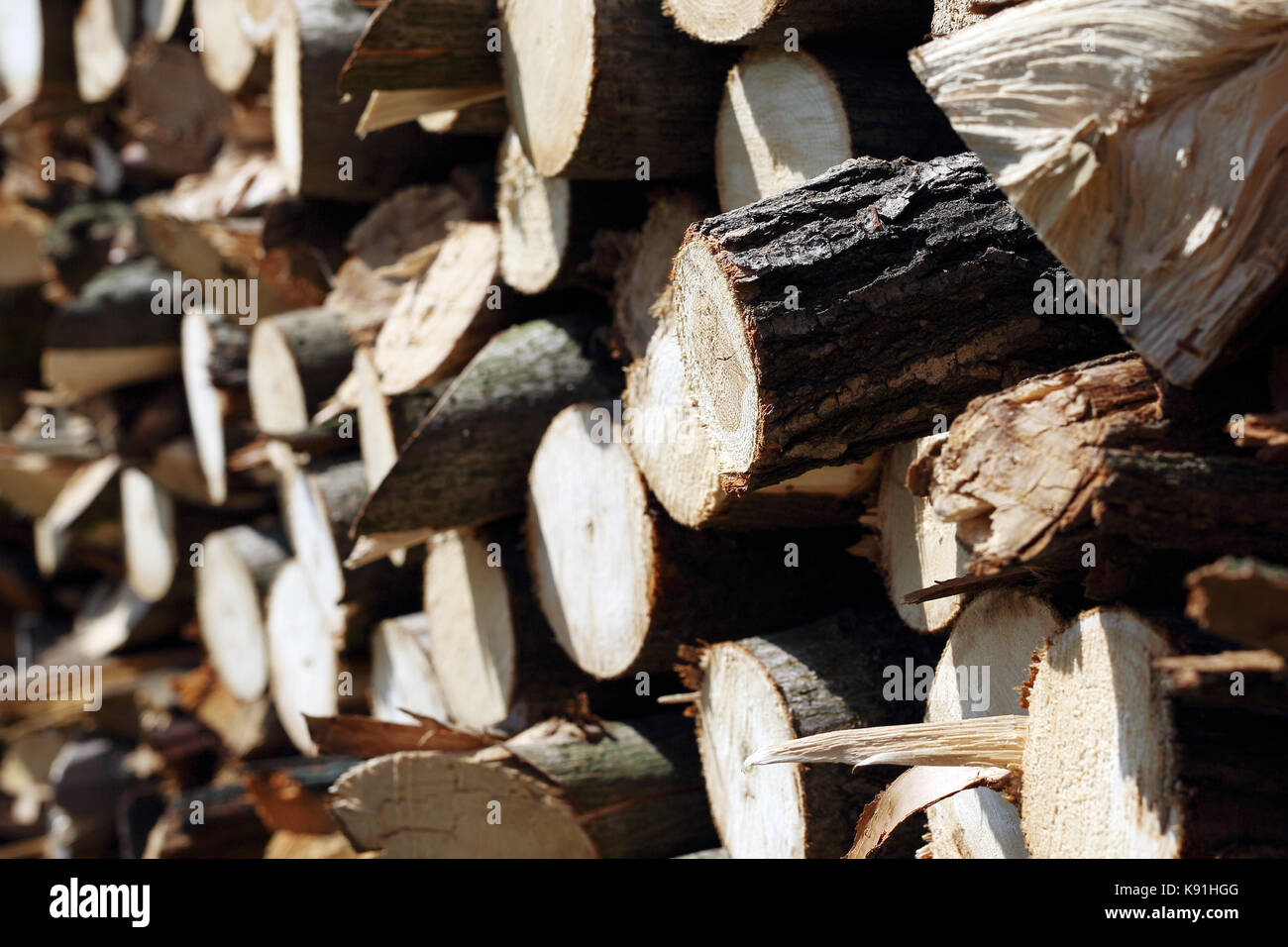 Brennholz. Gehackte Holz für Kraftstoff. Stockfoto