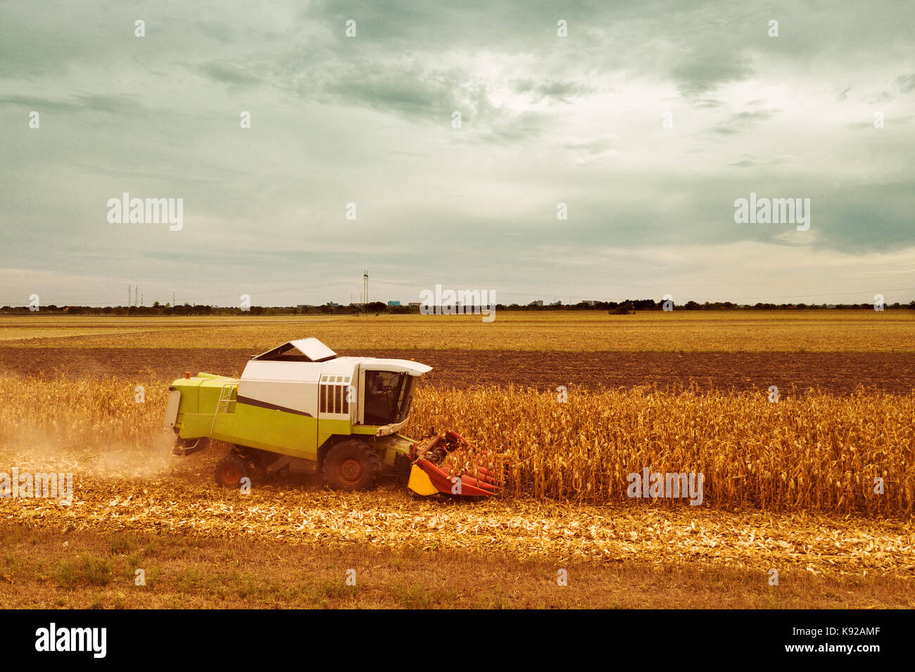 Mais Mais Ernte, Luftaufnahme von Mähdrescher arbeiten an reifen Mais Ernte Feld aus drohne pov Stockfoto