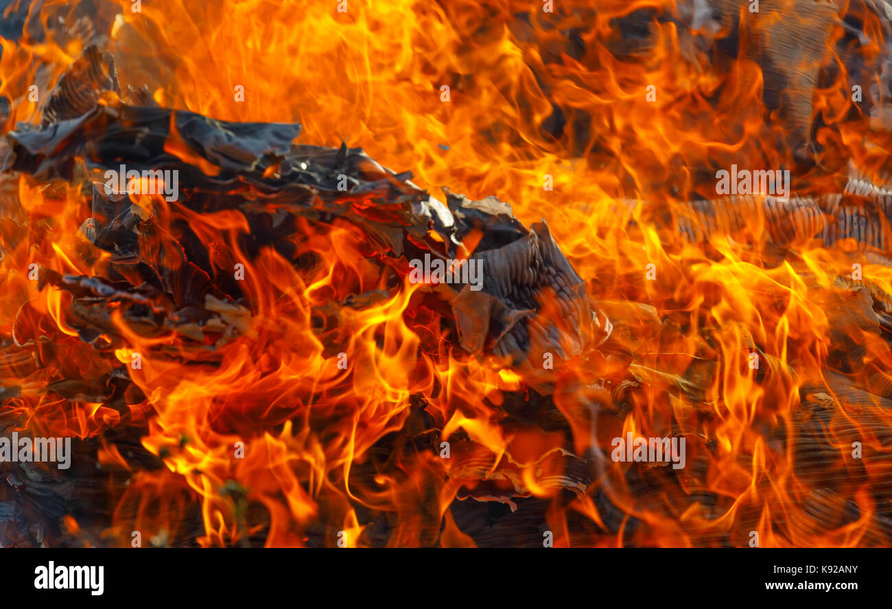Herz eines wütenden Feuer in seiner leistungsfähigsten, Asche im Feuer Detail anzeigen, was brennt. Eine Metapher für sein bei Fälligkeit in thePLC Stockfoto