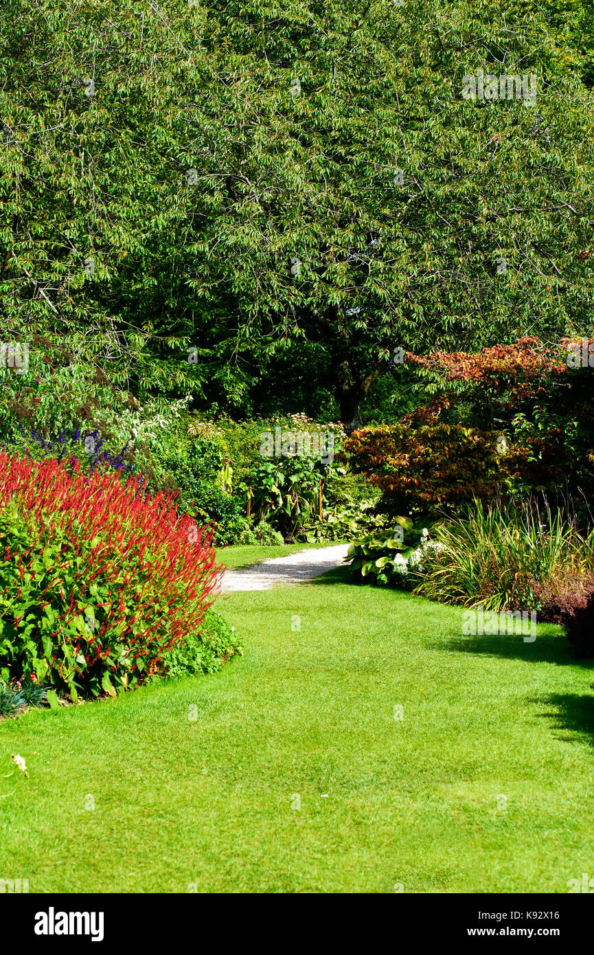 Bunte Flora in einem englischen Garten im Sommer Stockfoto