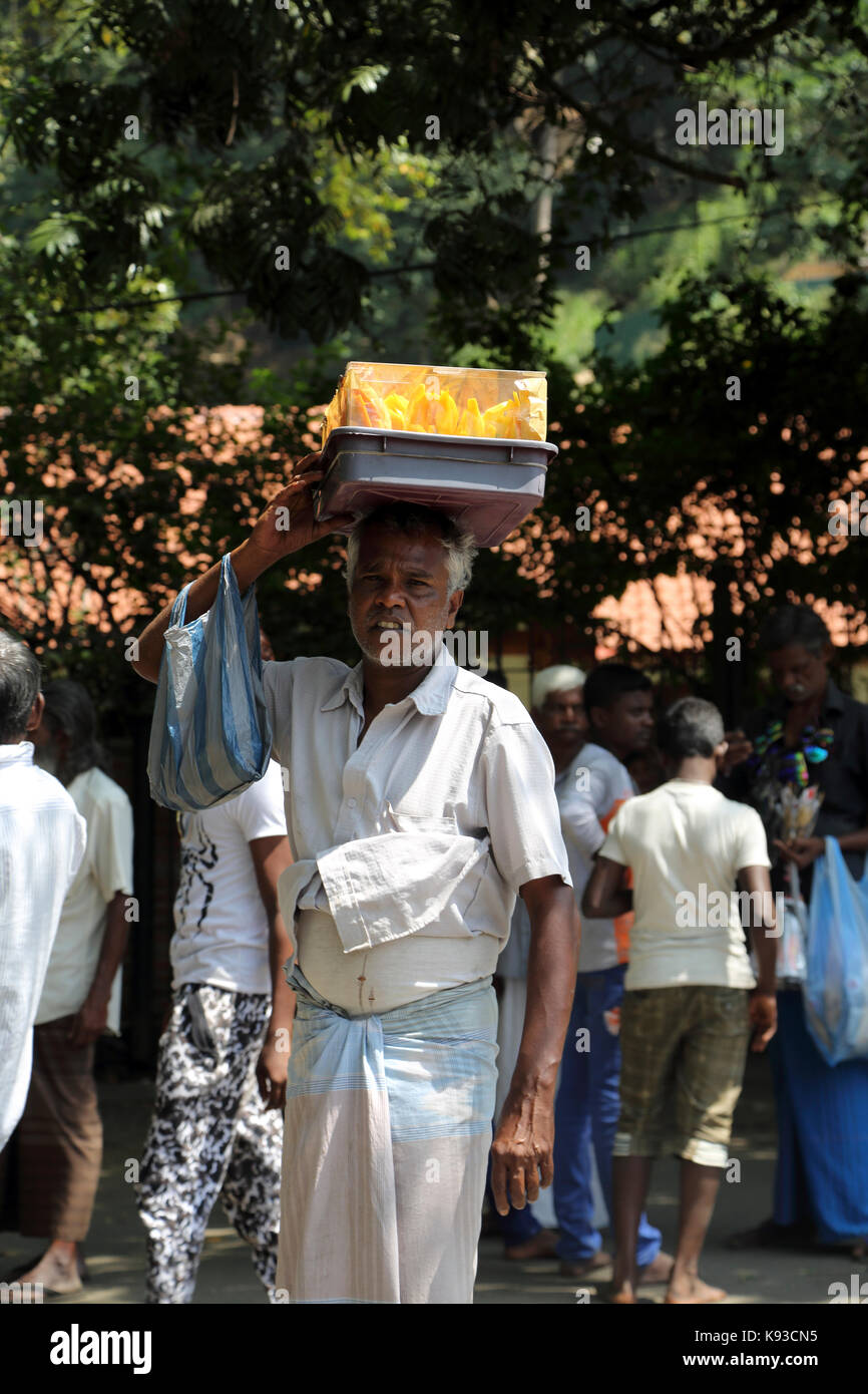 Kandy Stadt Sri Lanka Straßenhändler verkaufen Obst Stockfoto