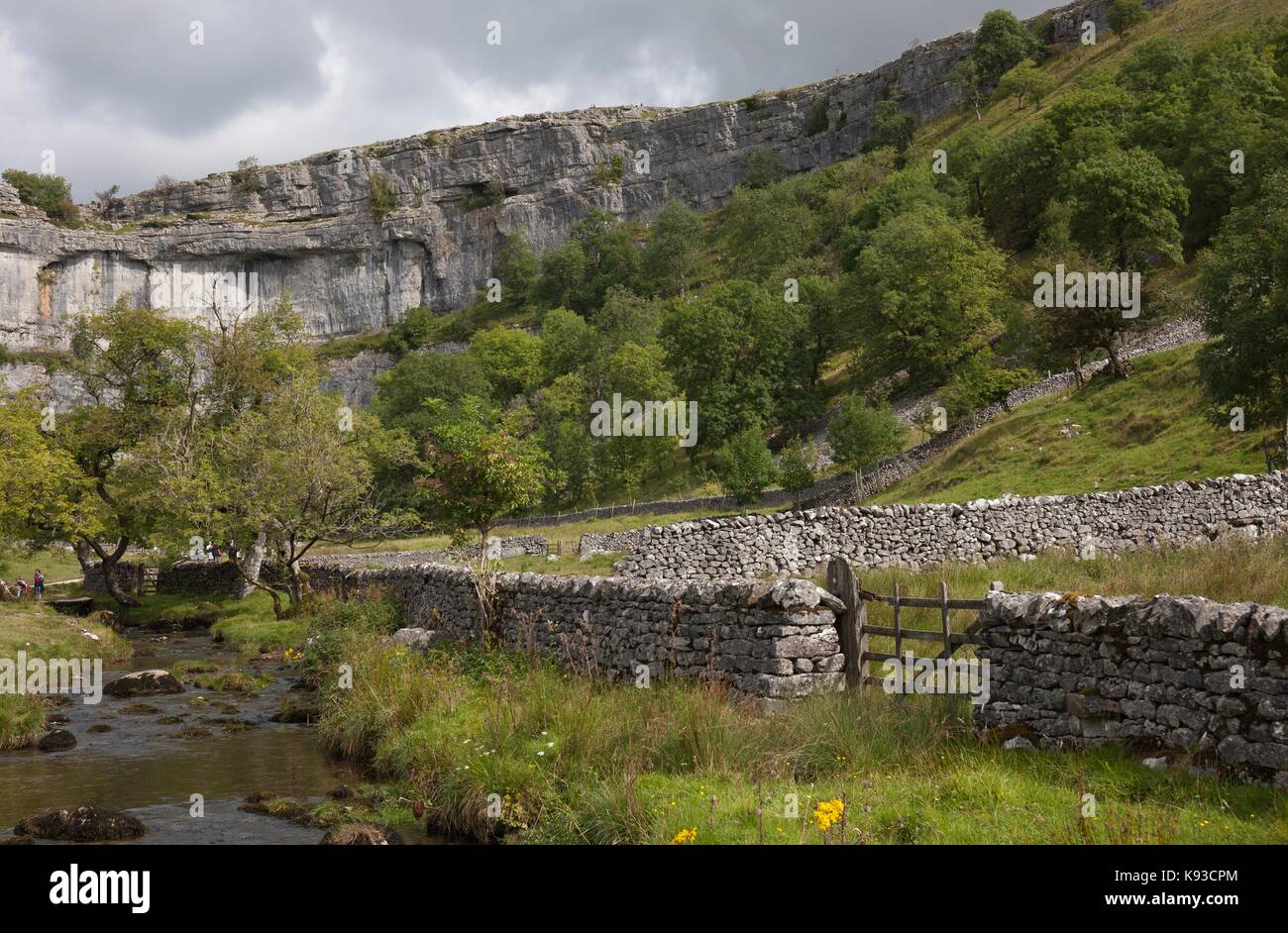 Malham Beck auf Malham Cove, Yorkshire Dales National Park, England. Stockfoto