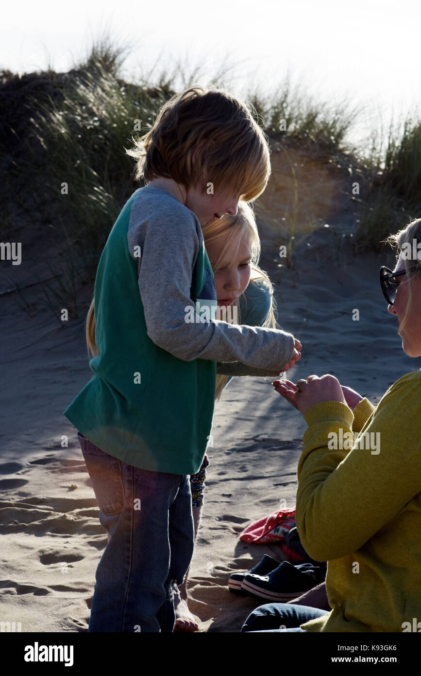 Ein Junge zeigt seine Schwester und Mutter einige Shells auf den Sanddünen bei Sonnenuntergang. Stockfoto
