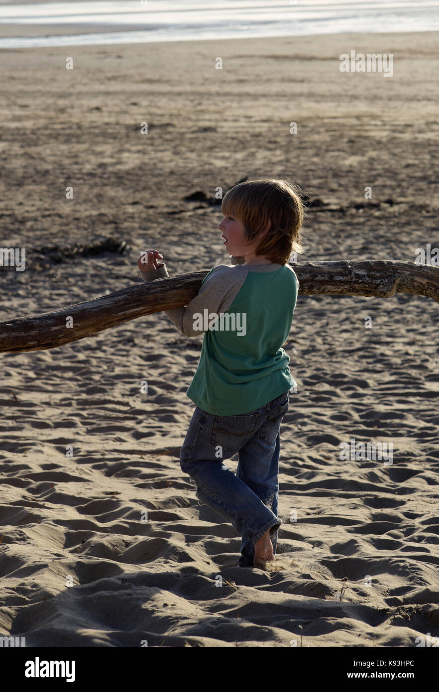 Ein Junge trägt ein großes Stück geborgen Holz vom Meer gewaschen an einem Sandstrand. Stockfoto
