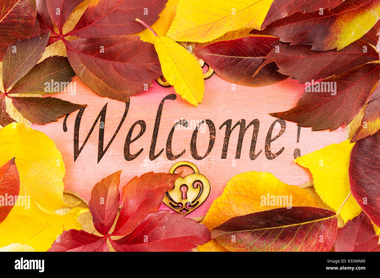 Willkommen Hinweis und gefallenen Blätter im Herbst Stockfoto