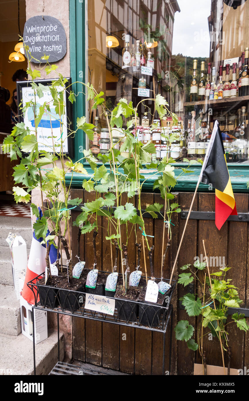 BERNKASTEL-KEUS, Deutschland - 5. Aug. 17: Traditionelle deutsche Wein shop Wein trauben verkaufen an Touristen, die auf die mittelalterliche Altstadt besuchen. Stockfoto