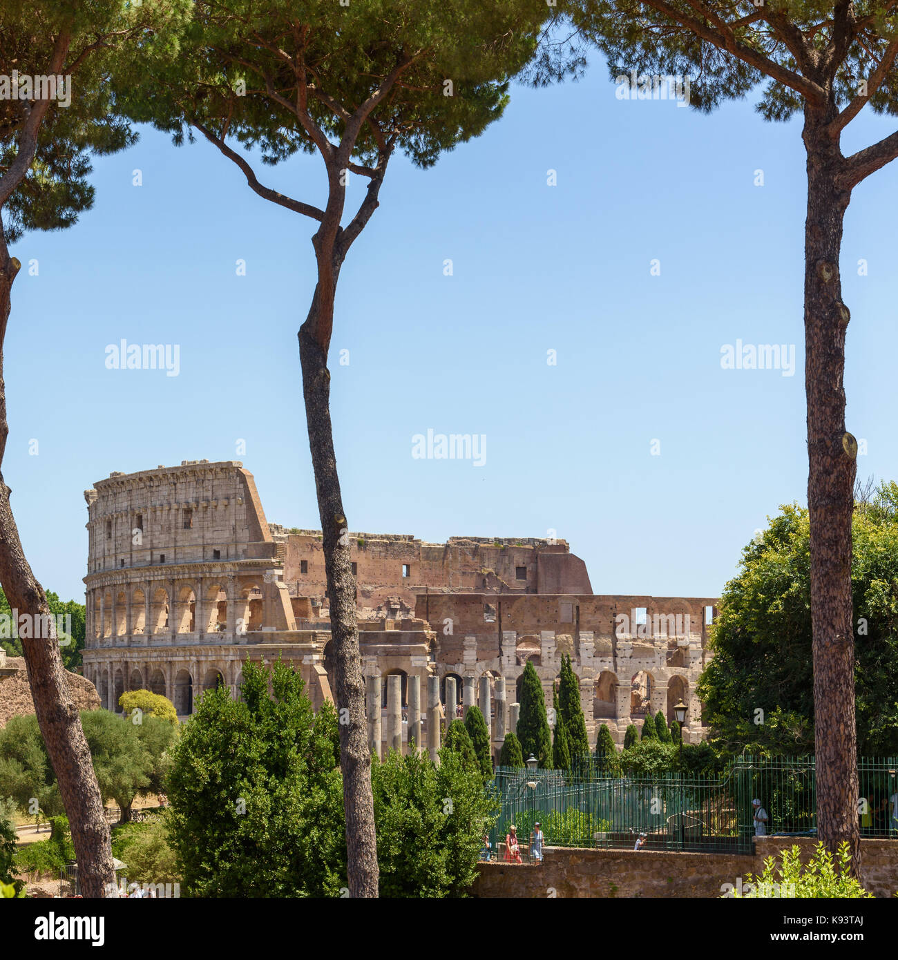 Kolosseum, Rom, Italien Stockfoto