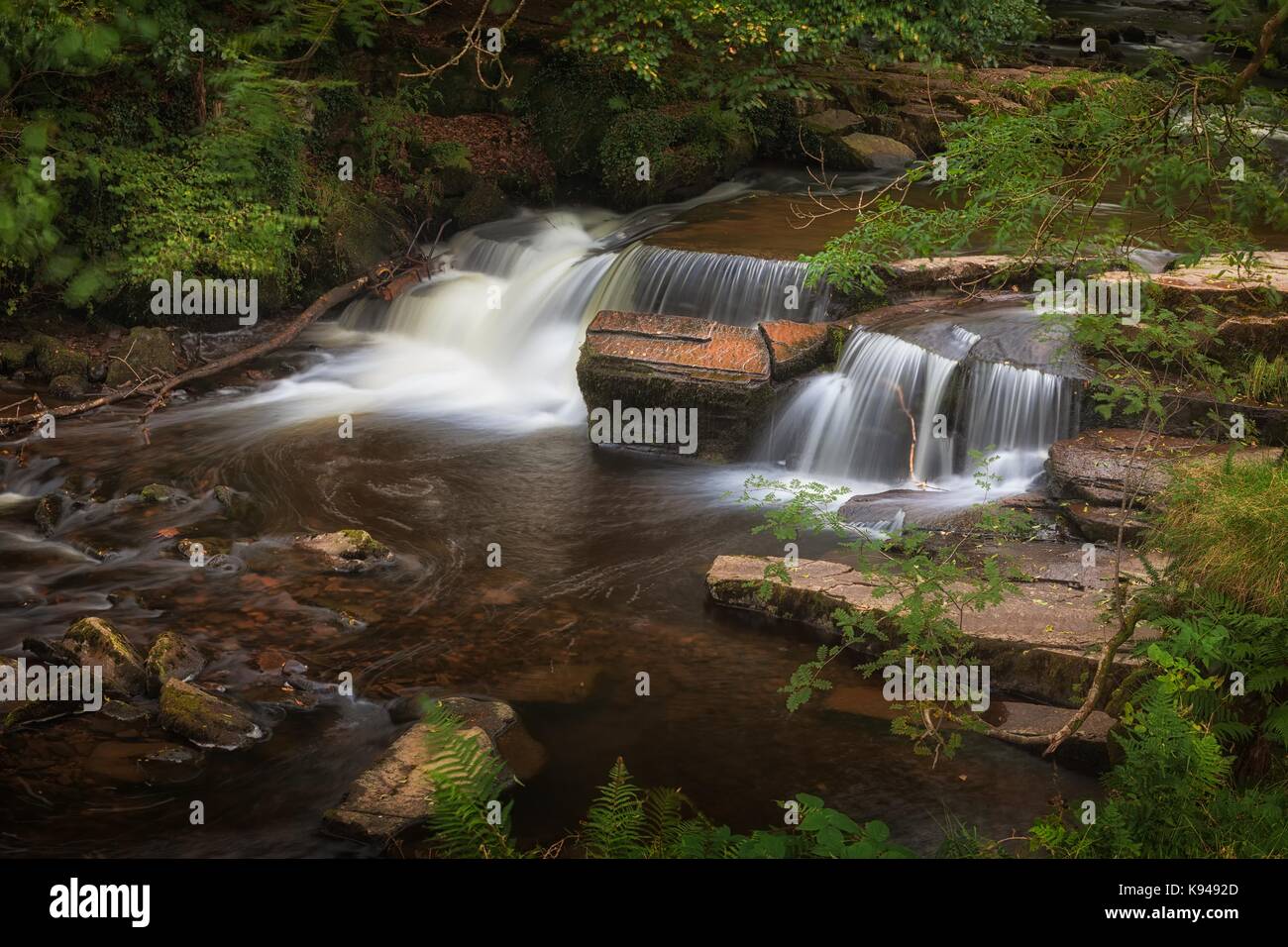 Taf Fechan Wald Wasserfall Stockfoto