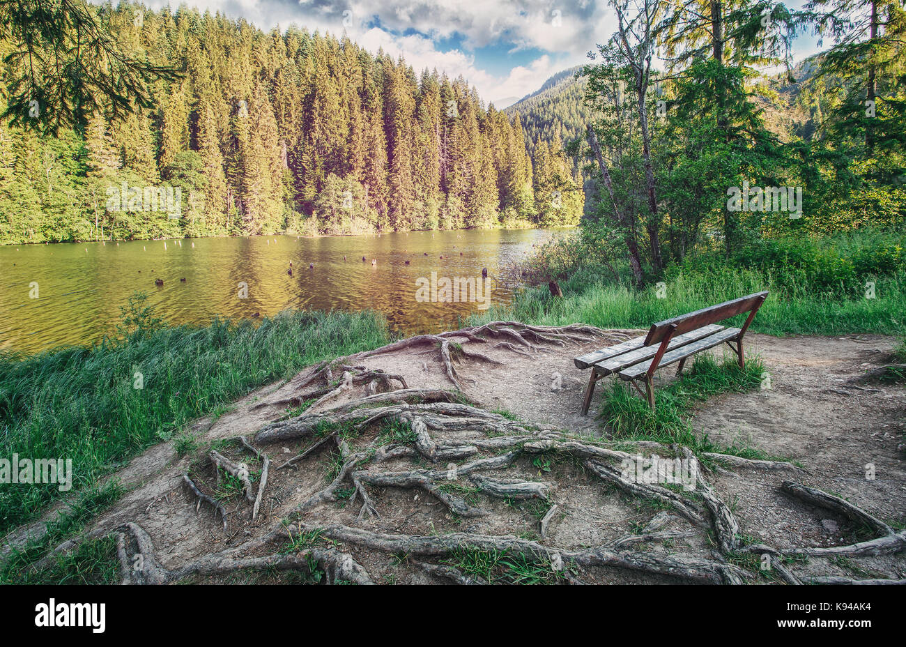 Der Ort für die Erholung. Ein ruhiger Ort zum Nachdenken im Park in der Nähe des Sees. Stockfoto