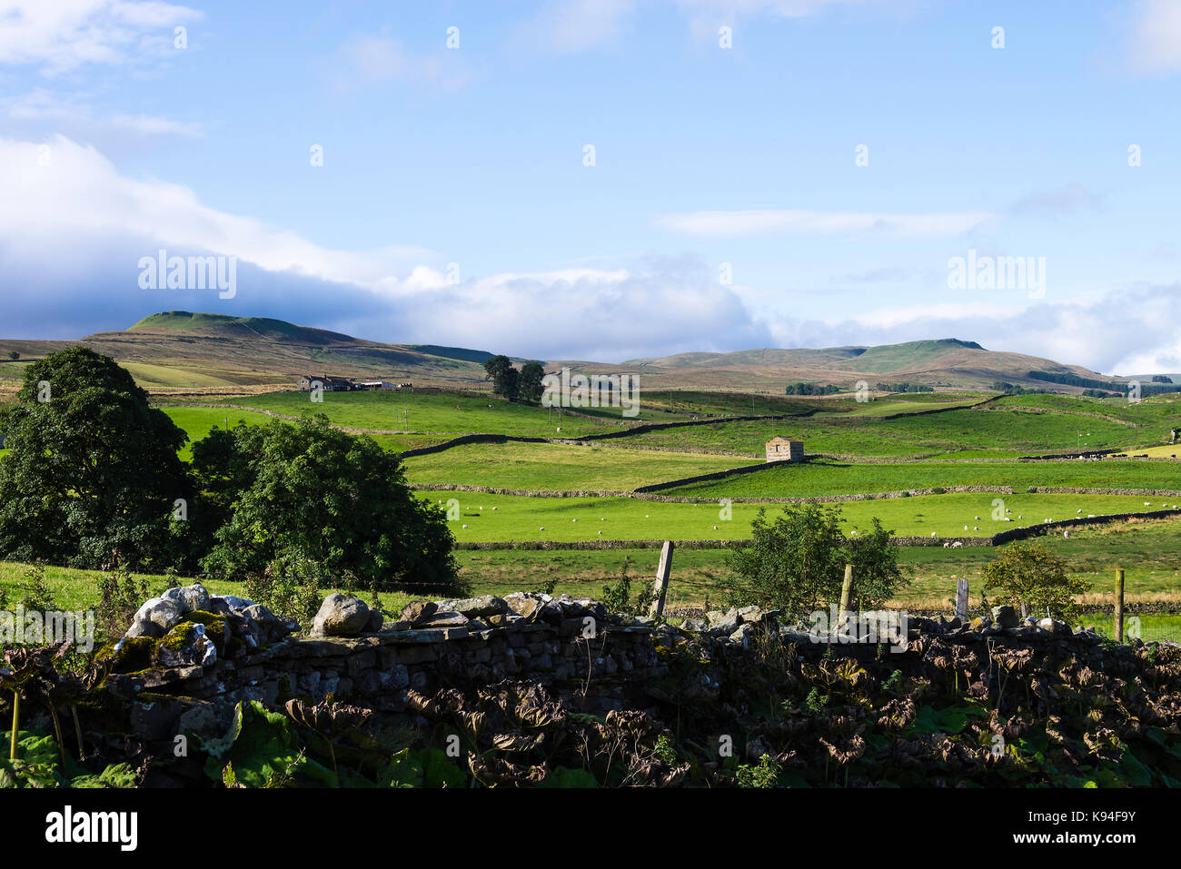 Der Blick Richtung Gayle und Dodd sank von Bainbridge in den Yorkshire Dales National Park Yorkshire England Vereinigtes Königreich Großbritannien Stockfoto