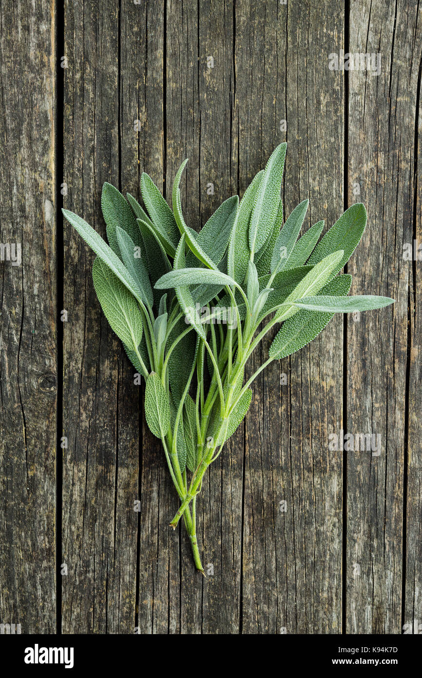 Salvia officinalis. Salbeiblätter auf alten Holztisch. Garten Salbei. Stockfoto