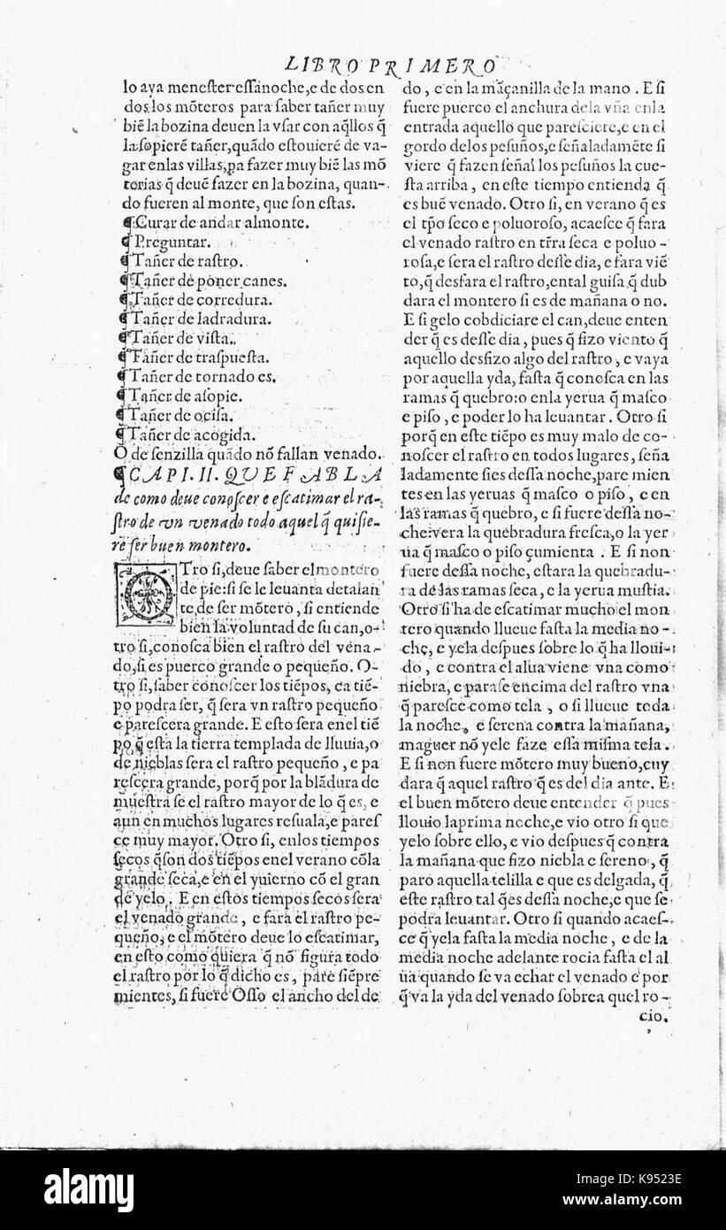 Libro de la monteria Fol2, verso Stockfoto