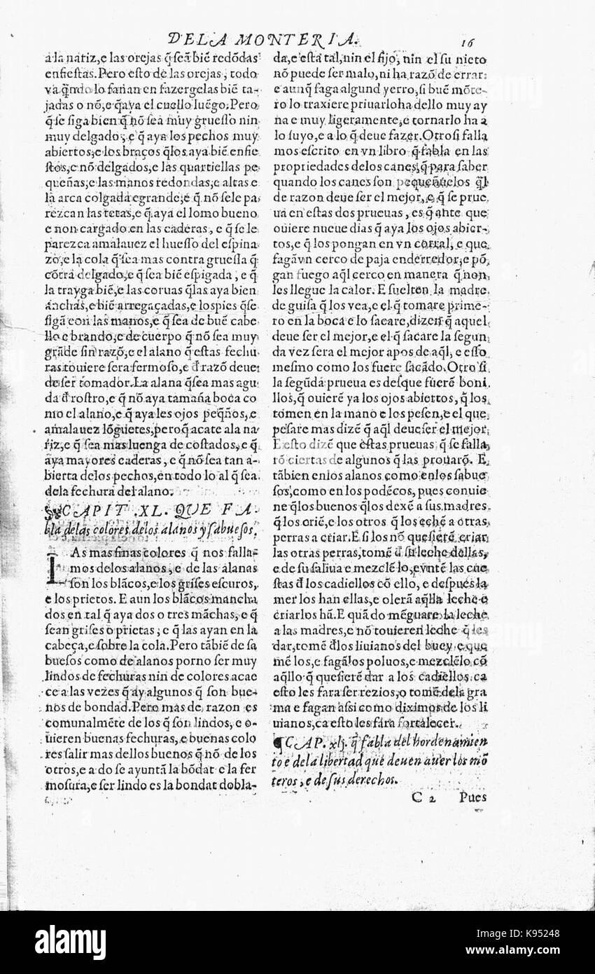 Libro de la Monteria fol 16, Rekto Stockfoto