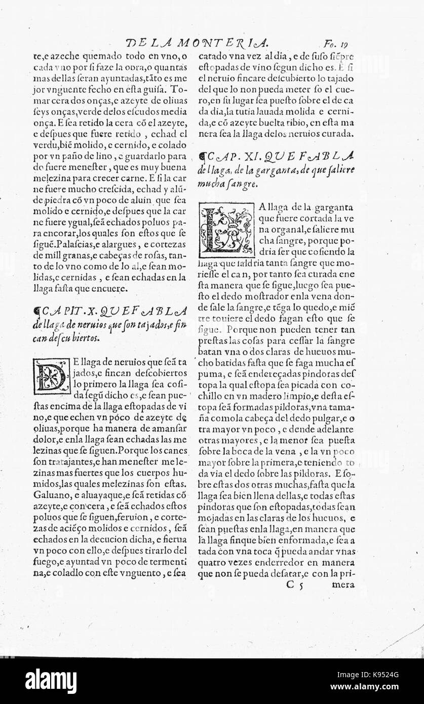 Libro de la Monteria fol 19, Rekto Stockfoto