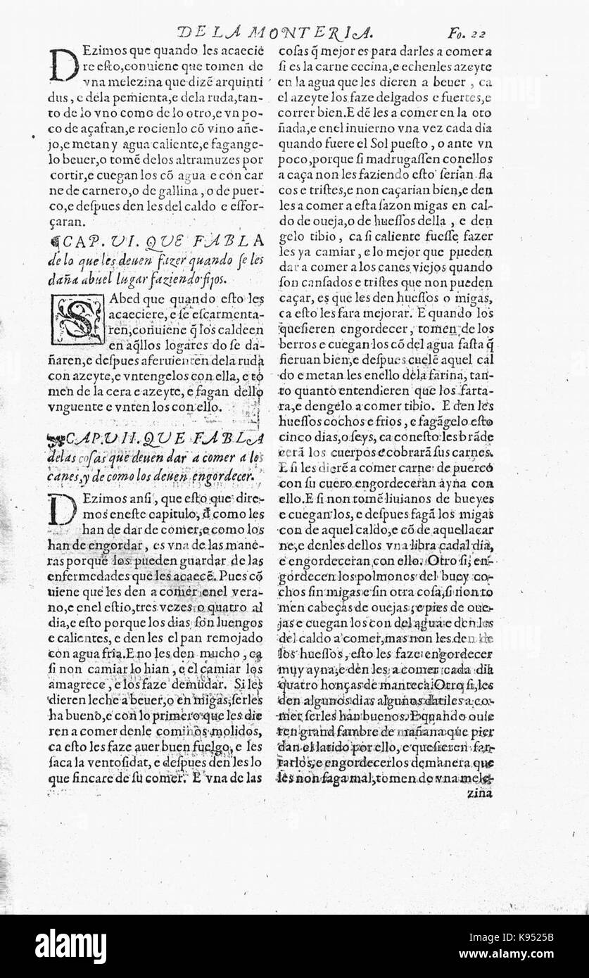 Libro de la Monteria fol 22, Rekto Stockfoto