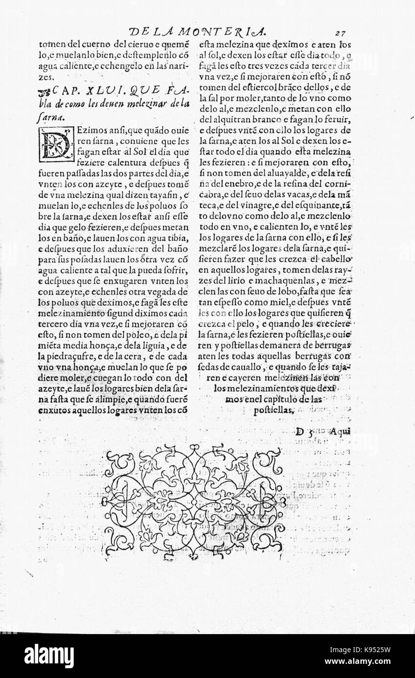 Libro de la Monteria fol 27, Rekto Stockfoto