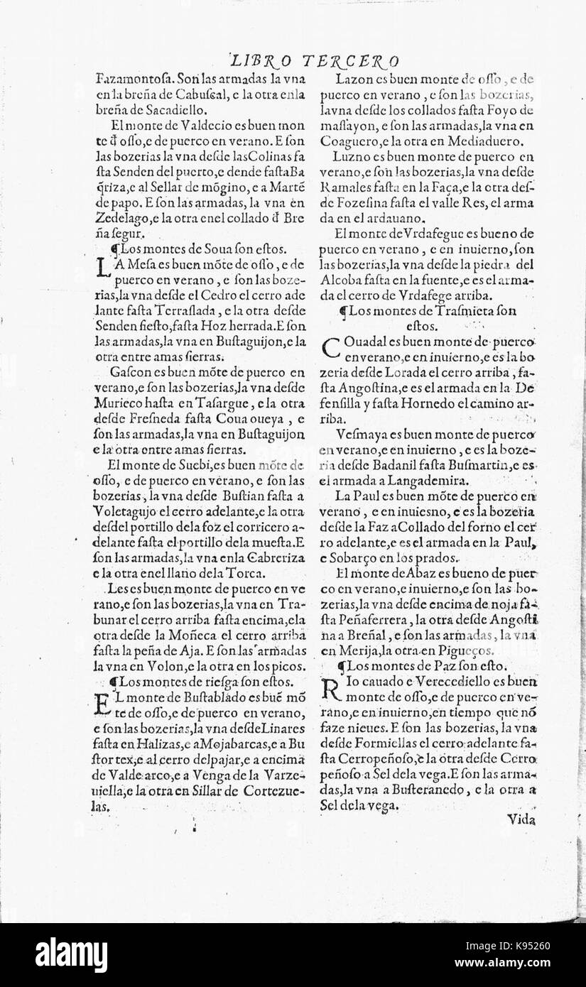 Libro de la Monteria fol 28, verso Stockfoto