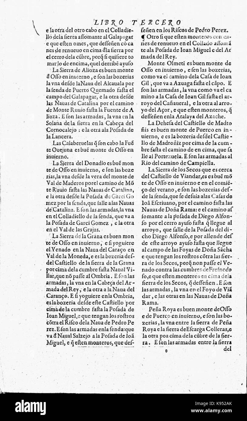 Libro de la Monteria fol 82, verso Stockfoto