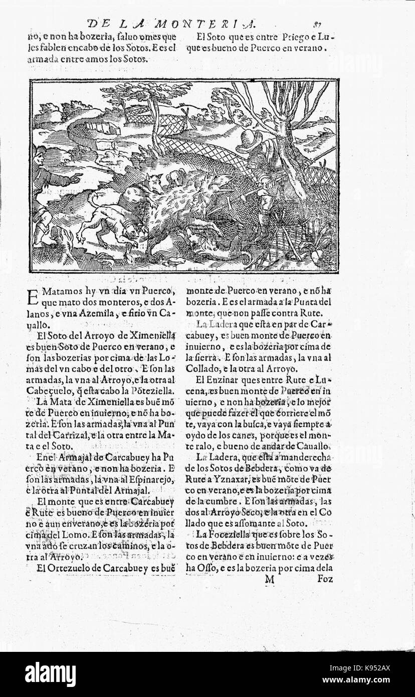 Libro de la Monteria fol 87, Rekto Stockfoto