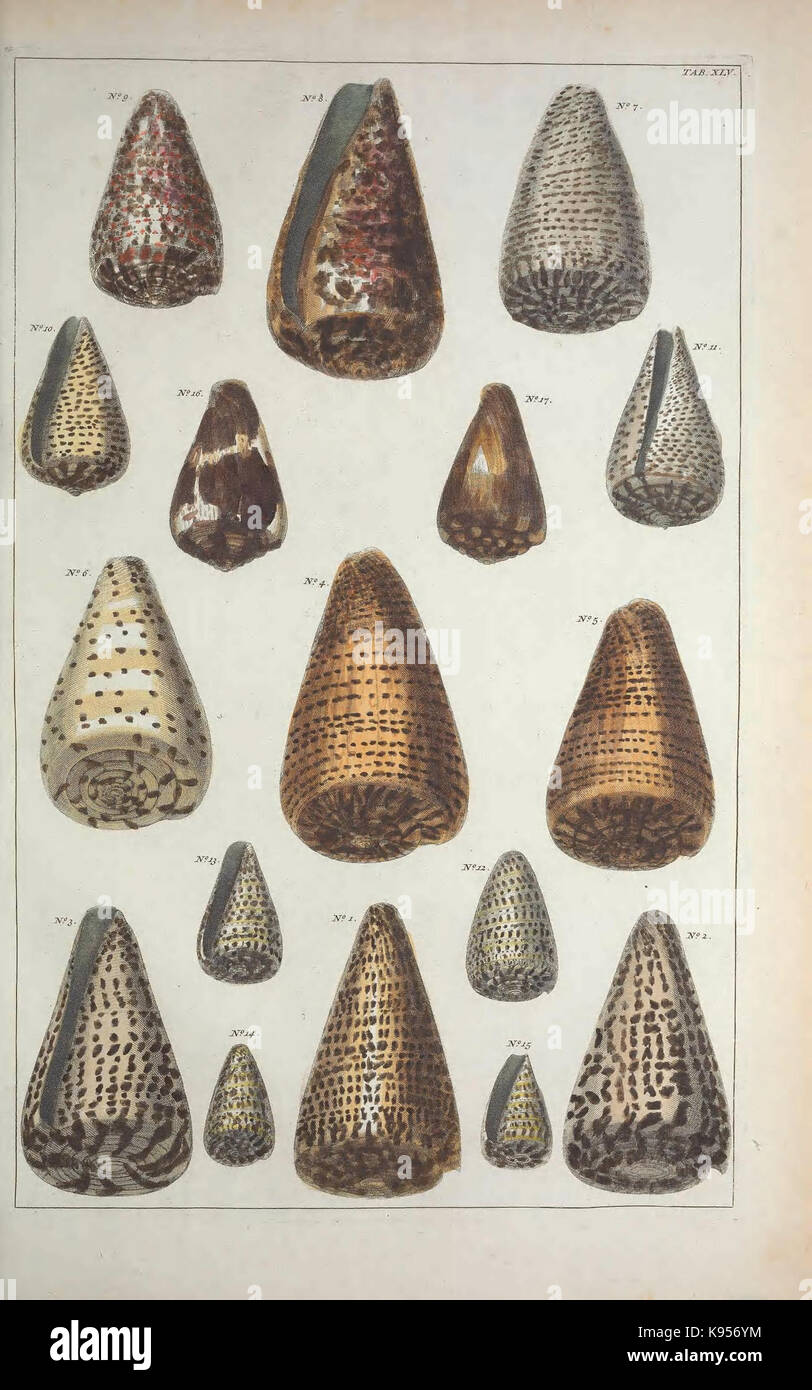 Locupletissimi rerum naturalium Thesauri accurata descriptio, et iconibus artificiosissimis expressio, pro Unternehmen Universam physices historiam (TAB. XLV) (8390369208) Stockfoto