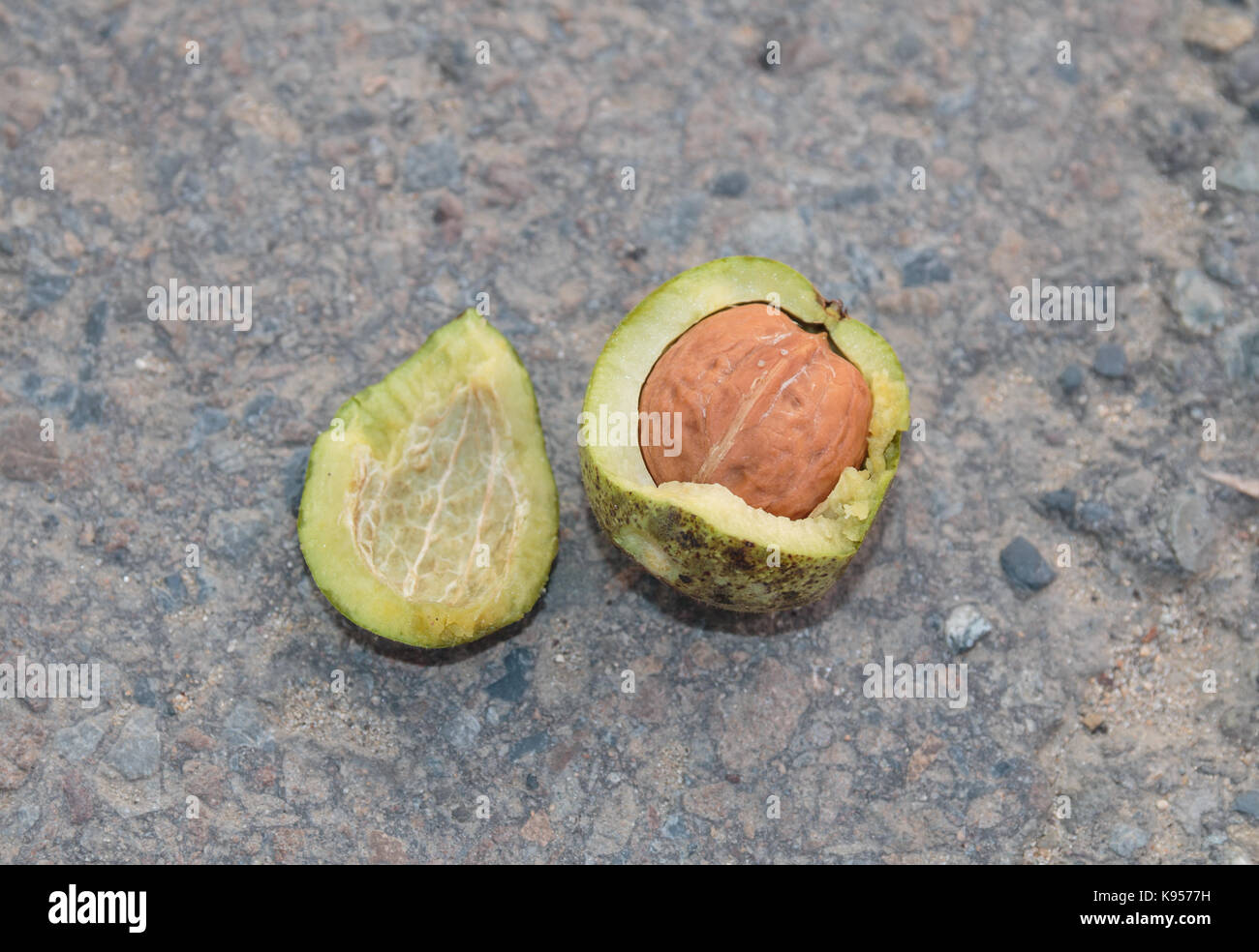 Geschält roh reif grün Nussbaum Stockfoto