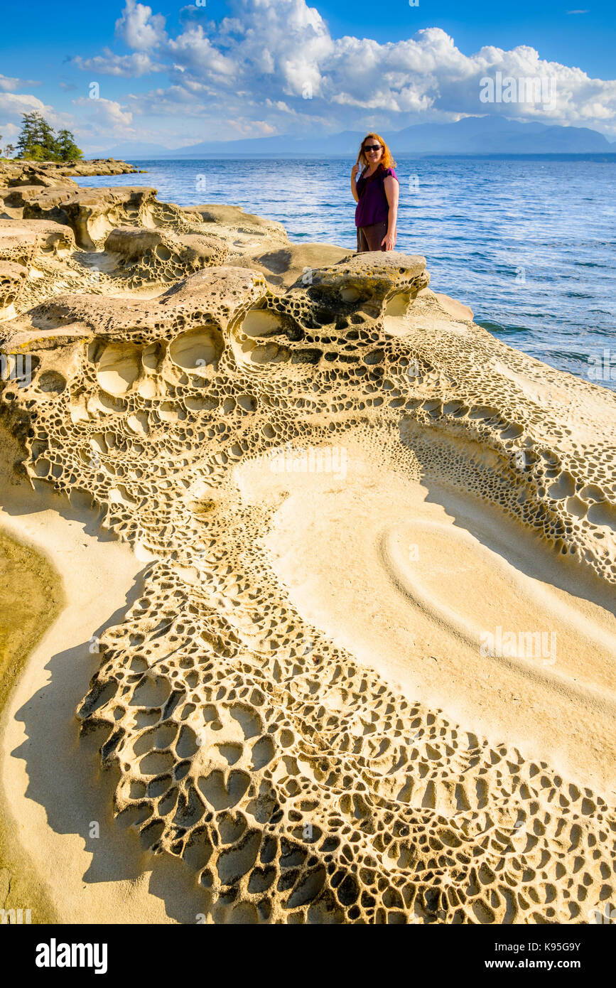 Wave erodierten Sandstein, Heron Felsen, Hornby Island, British Columbia, Kanada Stockfoto