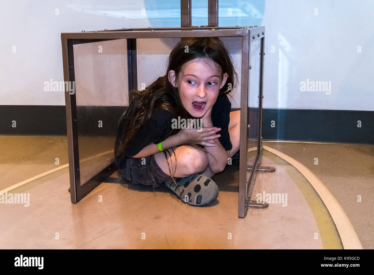 Junge Interaktion mit Box Anzeige an Telus, Welt der Wissenschaft, Vancouver, British Columbia, Kanada Stockfoto