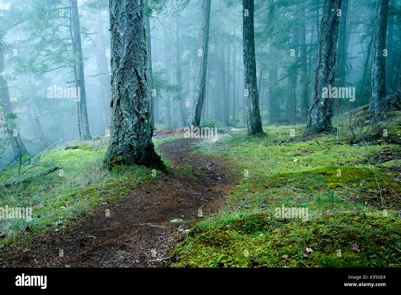 Bluffs Park, Galiano Island. British Columbia, Kanada Stockfoto