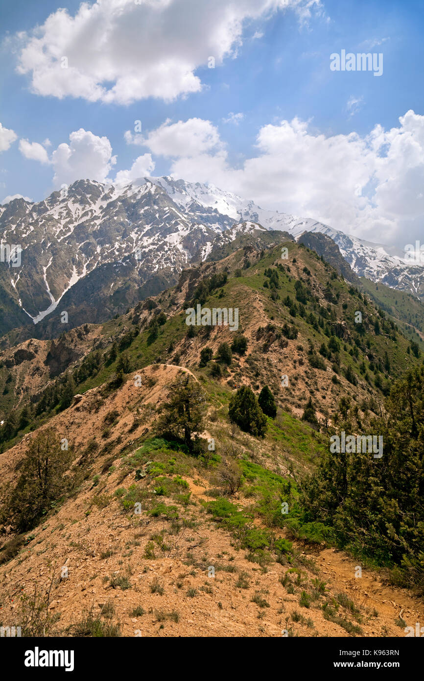 Tschimgan Berge, Usbekistan, an einem sonnigen Tag Stockfoto