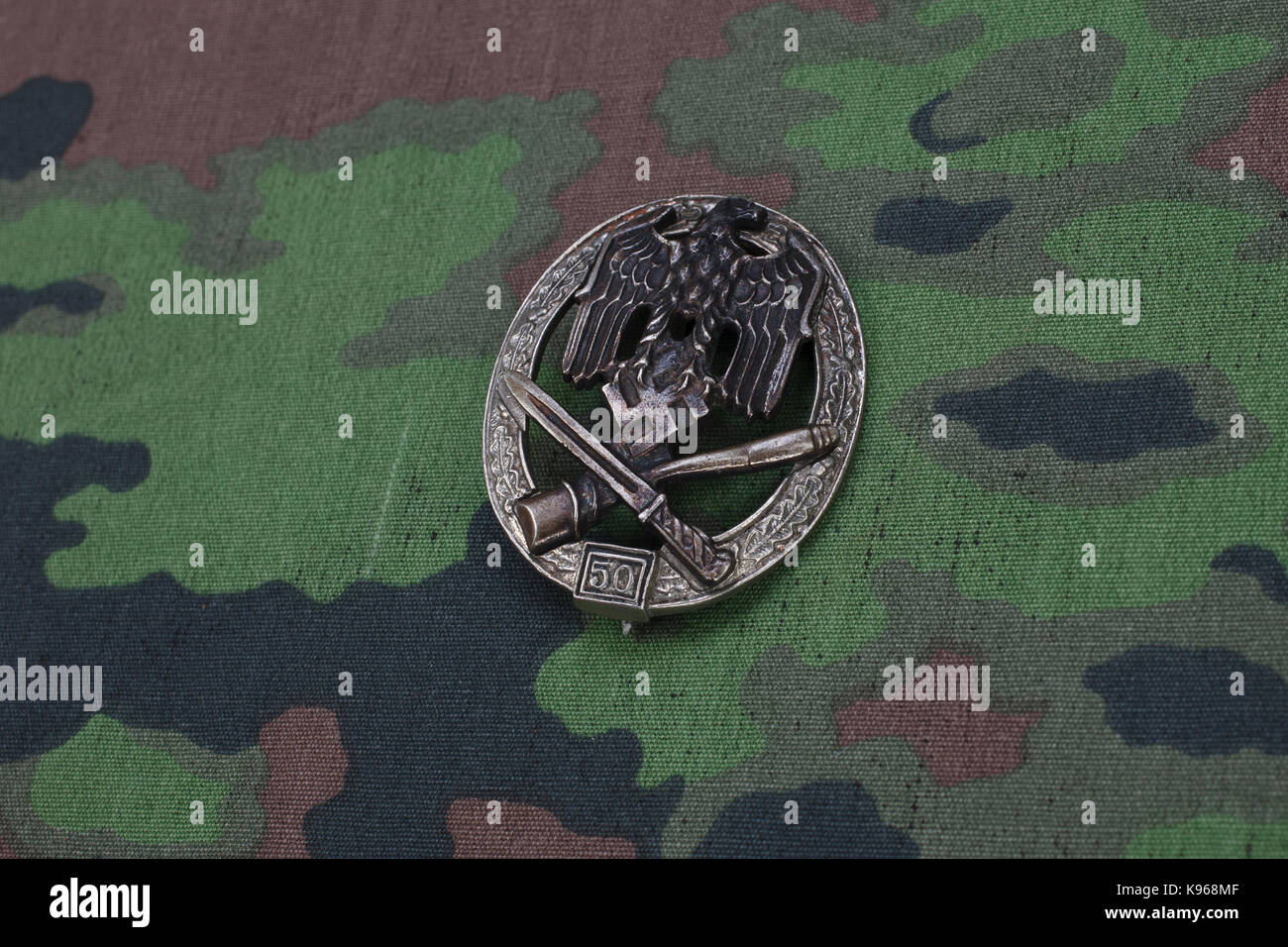 Allgemeine Assault Badge - deutsche NS-Award auf der SS Camouflage einheitliche Stockfoto