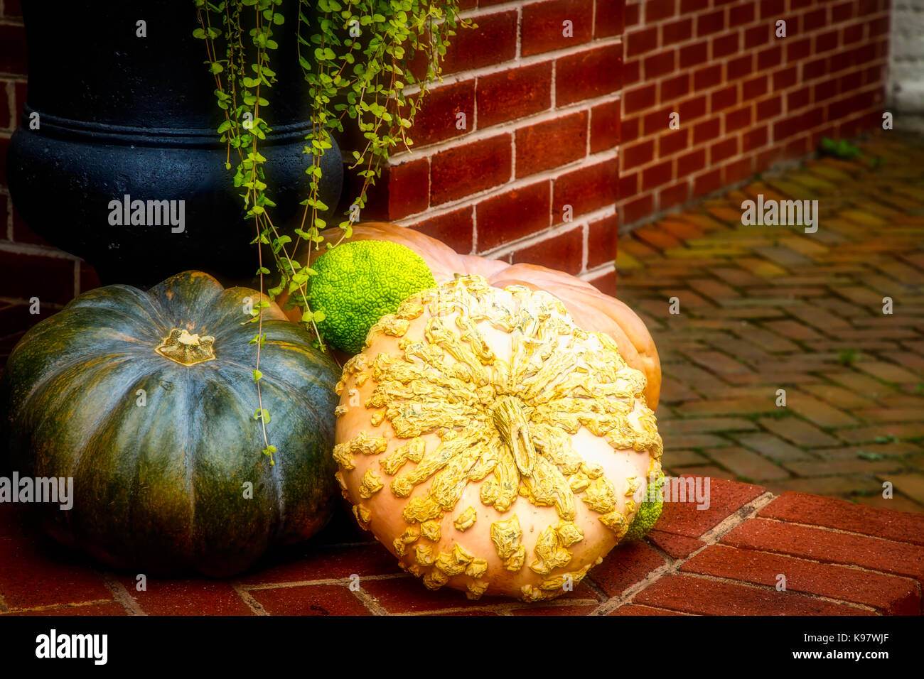 Dekorationen für Thanksgiving, sitzen auf einem Northern Virginia vor der Haustür. Stockfoto