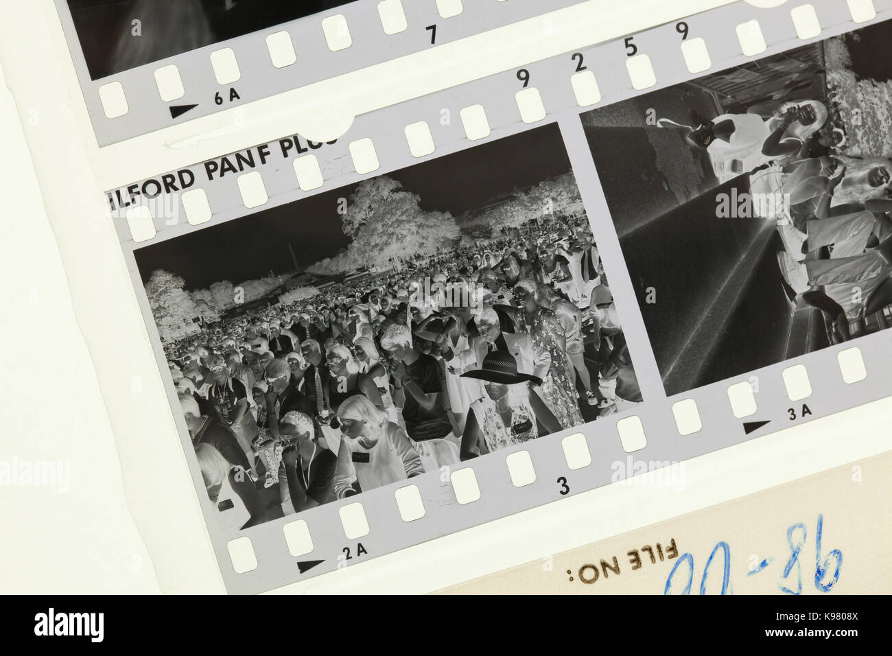 Freiliegende Kodak Tri-X 400 schwarz und weiß Negativfilm auf Licht Tabelle - USA Stockfoto Freiliegende Kodak Tri-X 400 schwarz und weiß Negativfilm auf Licht Tabelle - USA Stockfoto