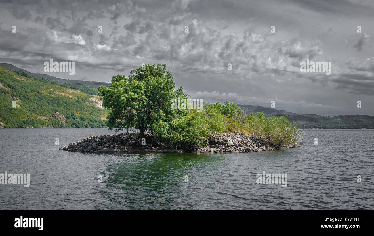 Kleine Insel mit Baum in der Mitte des See von Sanabria Stockfoto