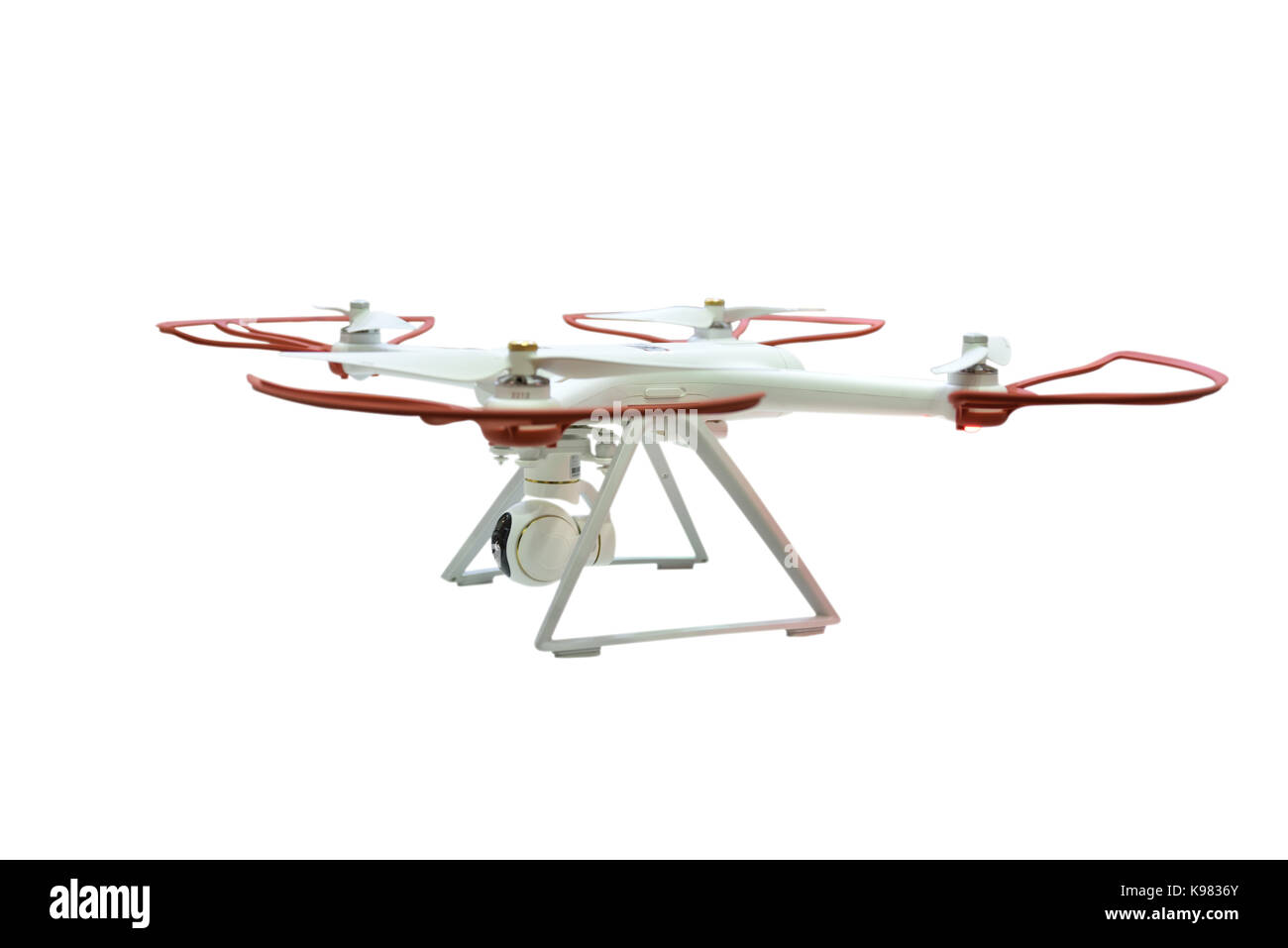 Brummen auf weißem Hintergrund. Stockfoto