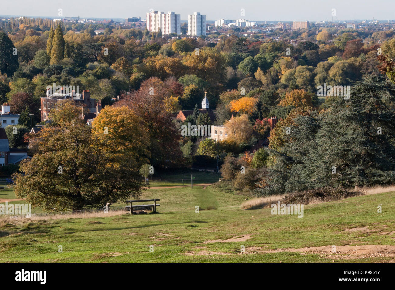 Ein Herbst Blick von Richmond Park in Richtung Kingston. Ein grashang führt zu Bunte Bäume bis in die Ferne, mit hohen Gebäuden darüber hinaus. Stockfoto