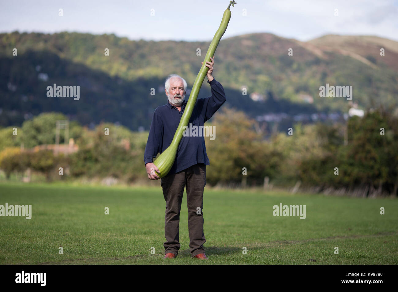 Peter Marson mit seiner 1.758 m langen Tromboncino Squash, einen europäischen Rekord Länge, während die Presse Vorschau für die CANNA UK National riesigen Gemüse Meisterschaft am Malvern, Worcestershire, Herbst zeigen. Stockfoto