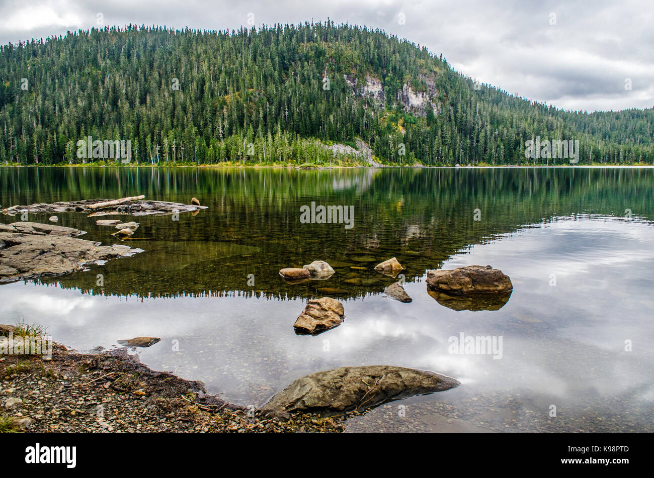 Reflexionen in See Helen MacKenzie, Strathcona, Kanada Stockfoto