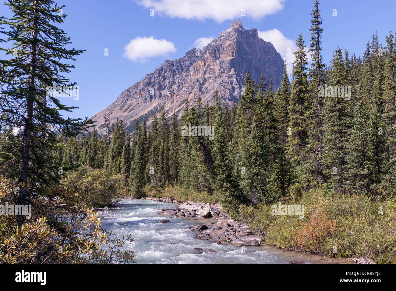 Oldhorn Berg vom Tonquin Valley Trail in Jasper National Park gesehen Stockfoto