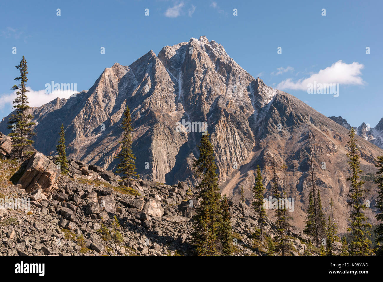Thron Berg vom Tonquin Valley Trail im Jasper Nationalpark gesehen. Stockfoto
