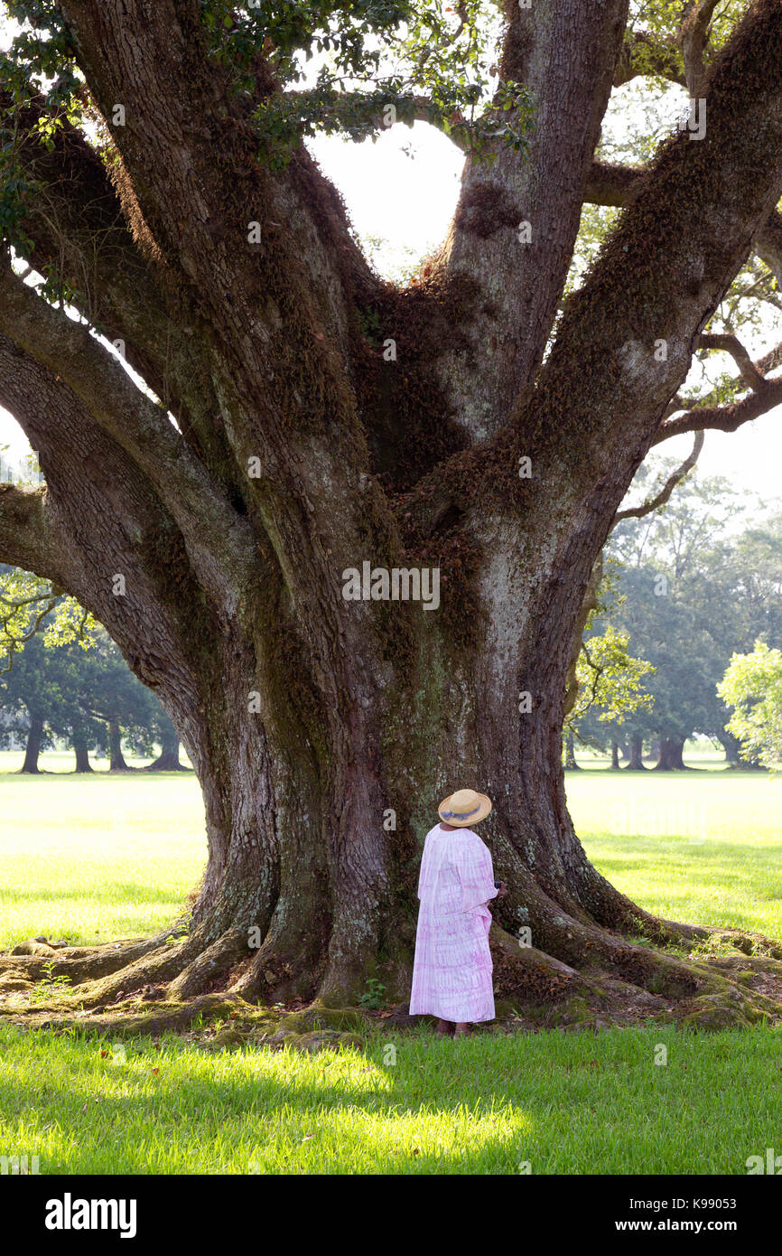 Frau, die an der Basis der Live Oak Tree Stockfoto