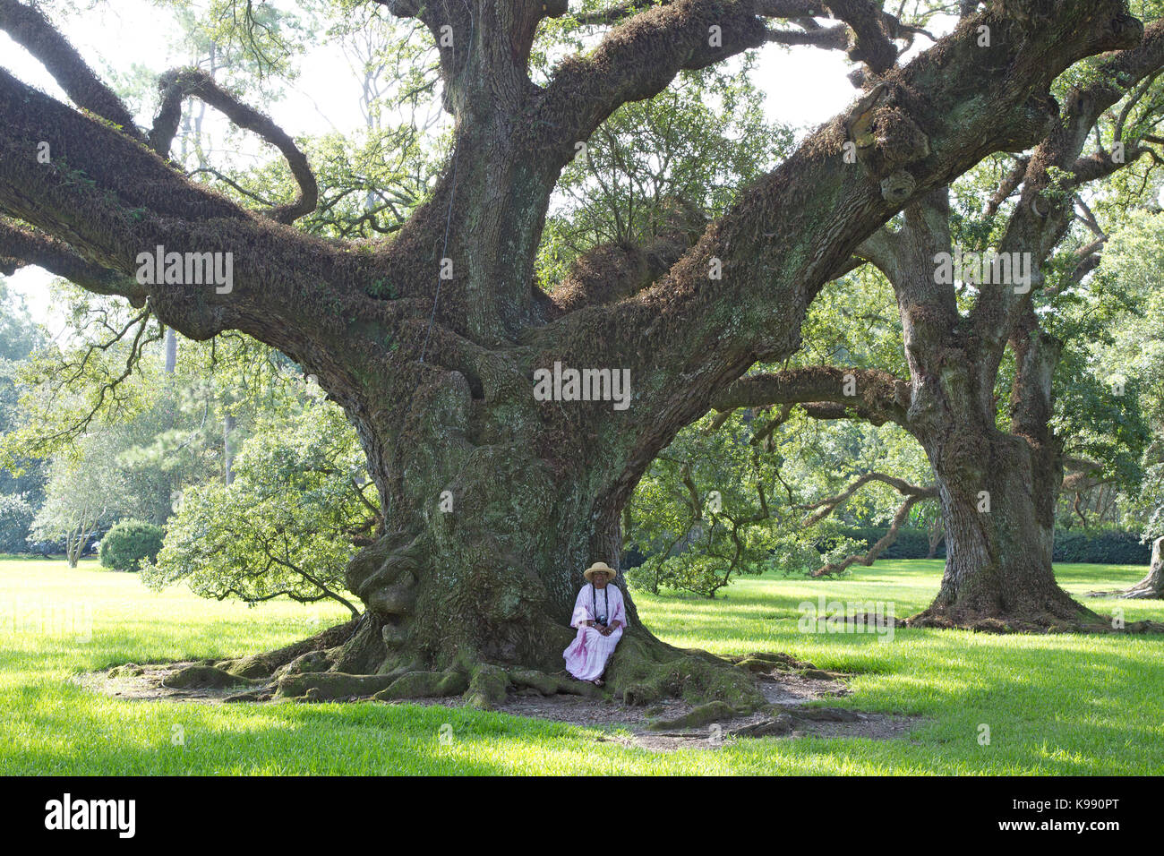 Frau, die an der Basis eines riesigen Live Oak Tree Stockfoto