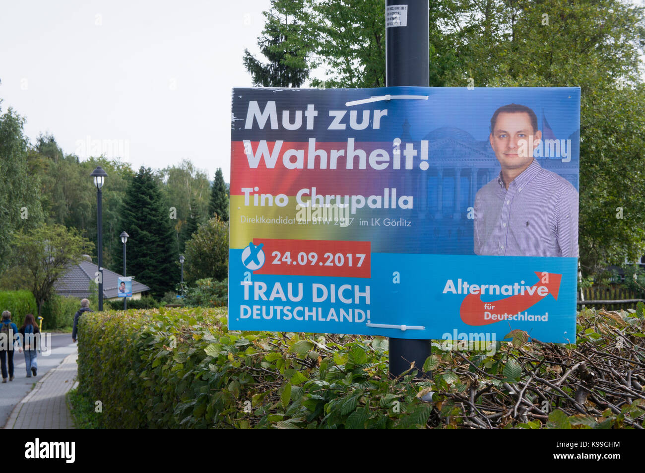 Tino Chrupalla, AfD Wahlkampf Poster Stockfoto