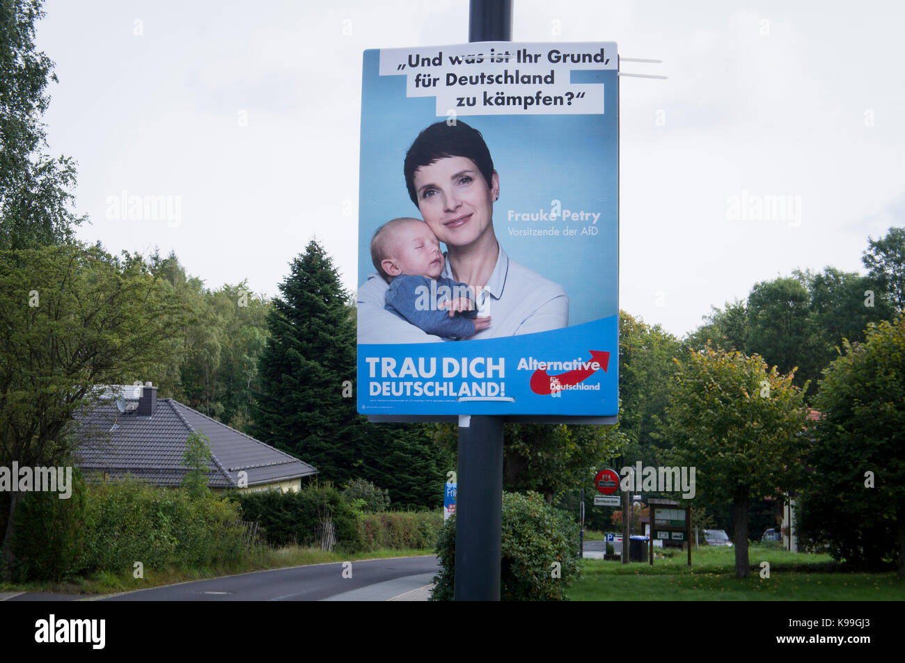 Frauke Petry, AfD Wahlkampf Poster Stockfoto