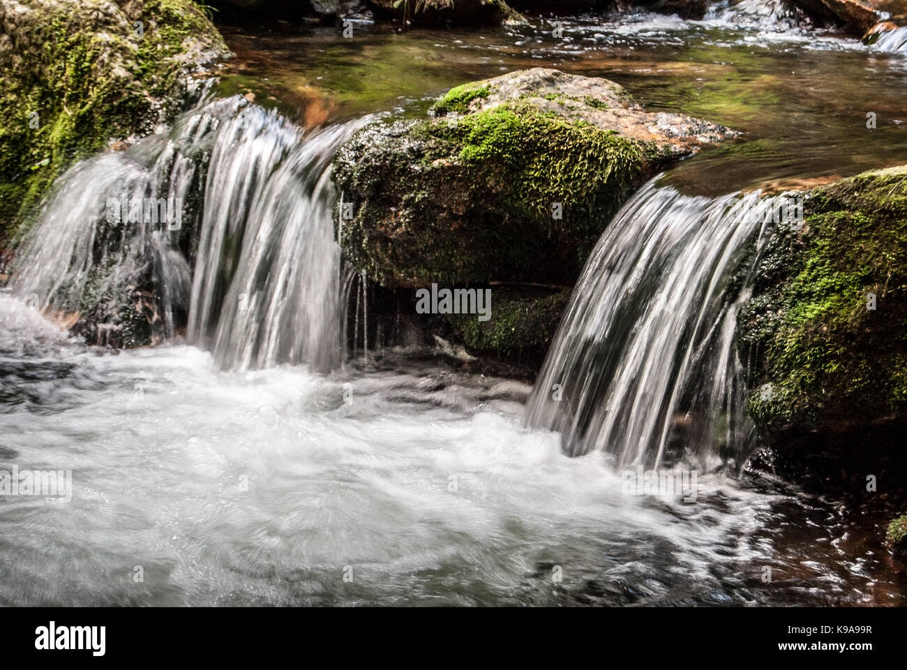 Kleiner Wasserfall mit Stein von Moos auf Bila Opava Fluss in Gesenke in der Tschechischen Republik Stockfoto