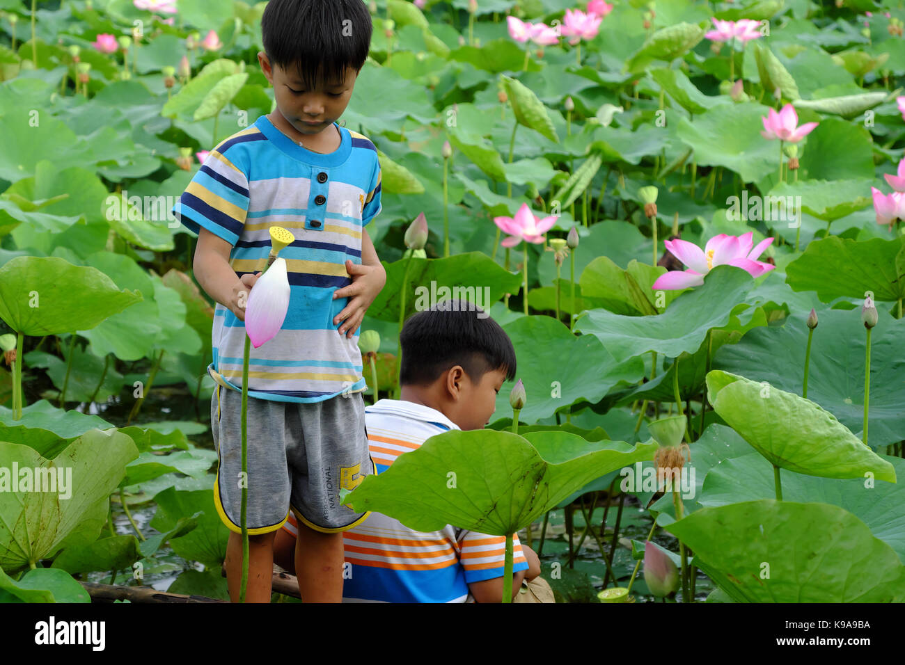 Kleine vietnamesische kinder Fotos und Bildmaterial in hoher