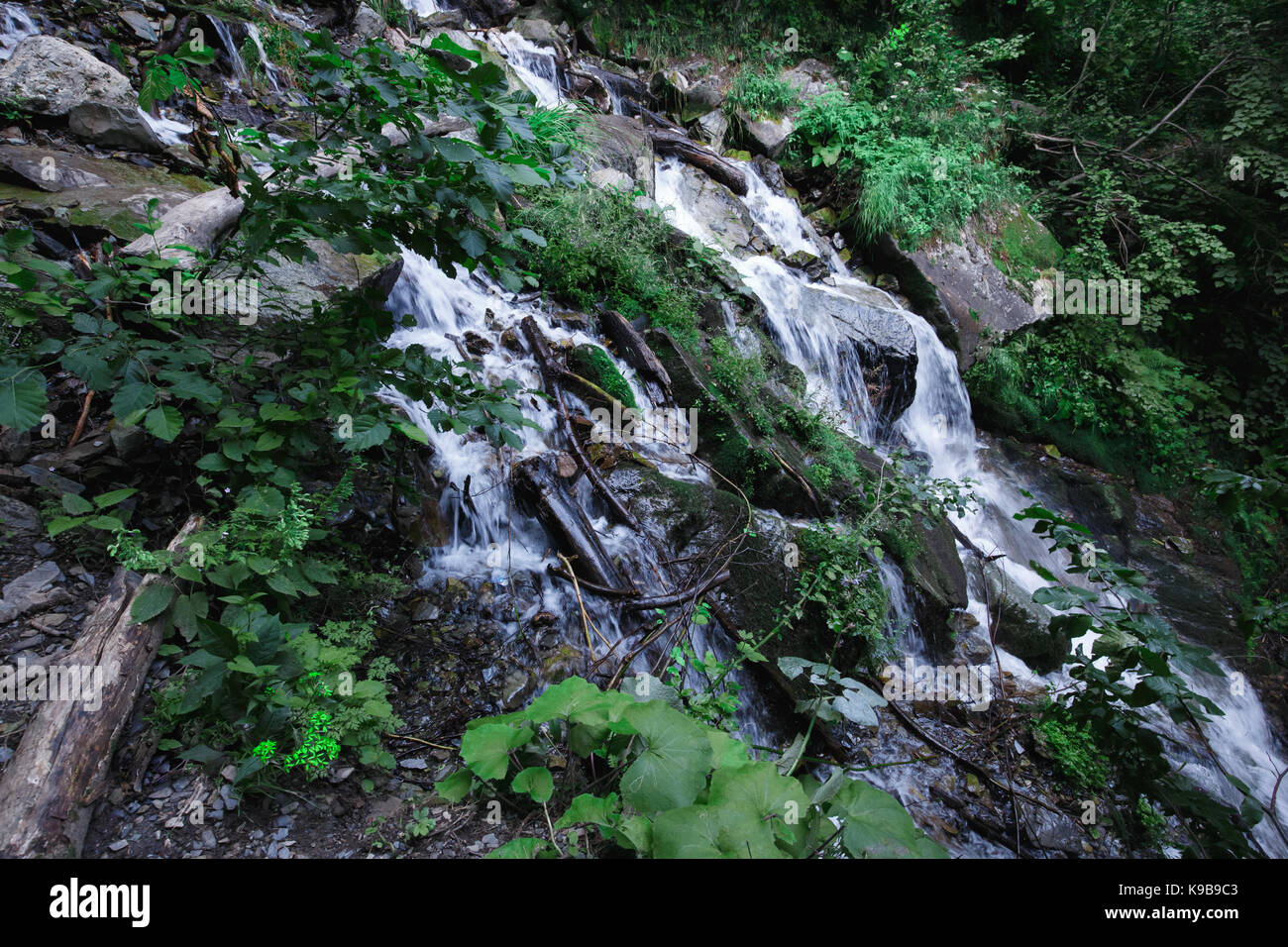 Cascading Streams im Bergwald Stockfoto