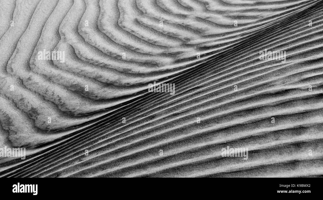 Beschriftung in der Nähe von Sand in der Wüste Stockfoto
